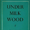 under milk wood