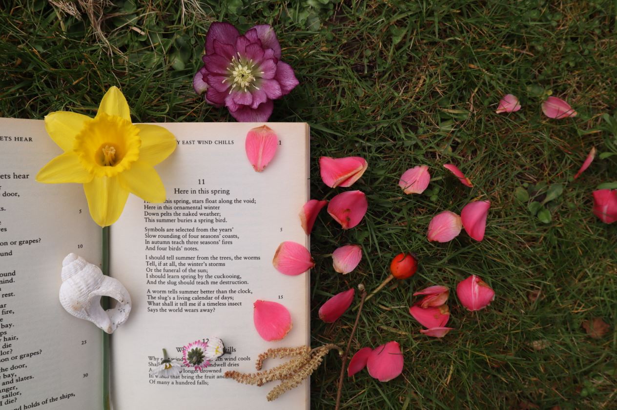 Create your own ‘Here in this spring’ visual poem