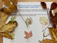 Autumn Trail: ‘the flocked leaves in the dew dipped year’