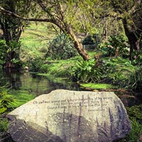 Dylan's Park creative writing and drawing workshop with Helen and Thomas Docherty