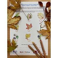 Autumn Trail: ‘the flocked leaves in the dew dipped year’